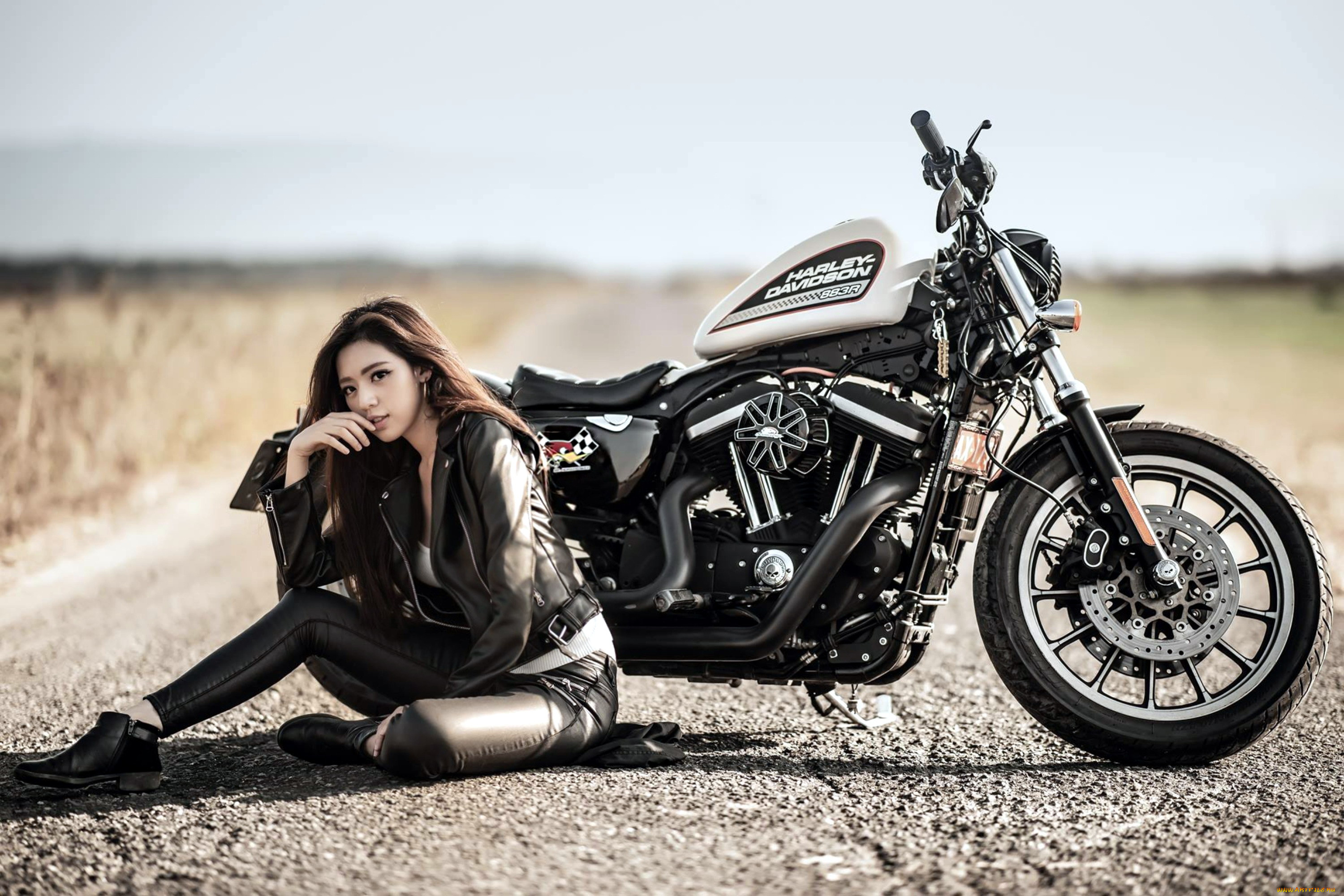 ,   , harley, davidson